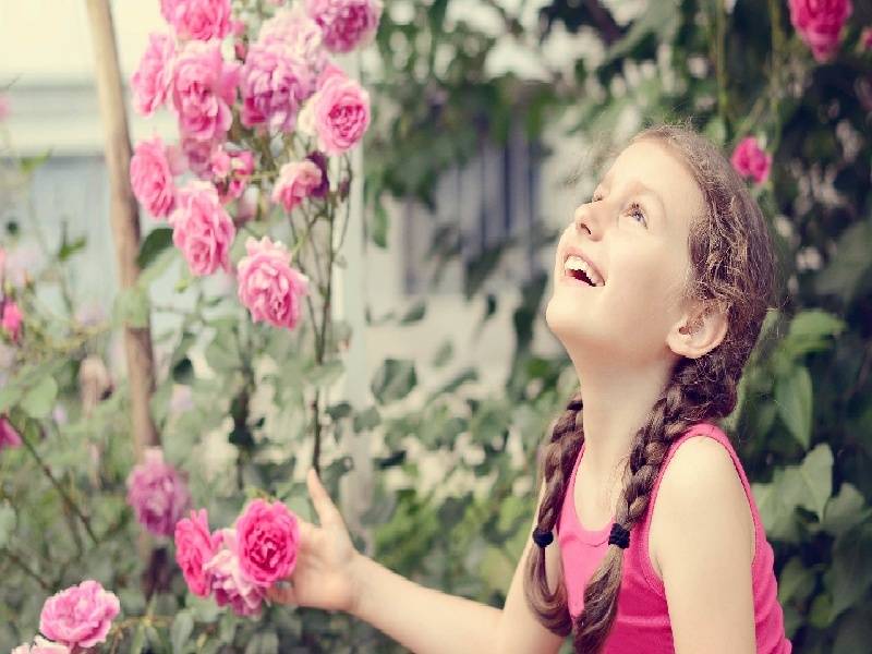 cod加热试管图片丧偶可以试管吗试管血抽取机器